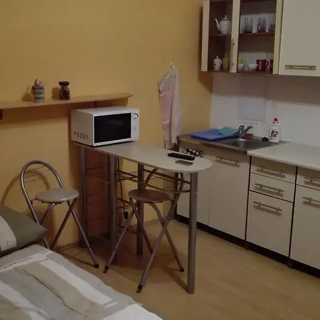 Daire Studio Benadicka *