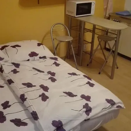 Studio Benadicka Lejlighed Bratislava